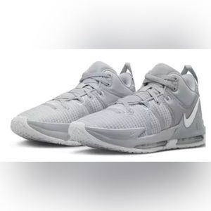 Nike Lebron Witness VII